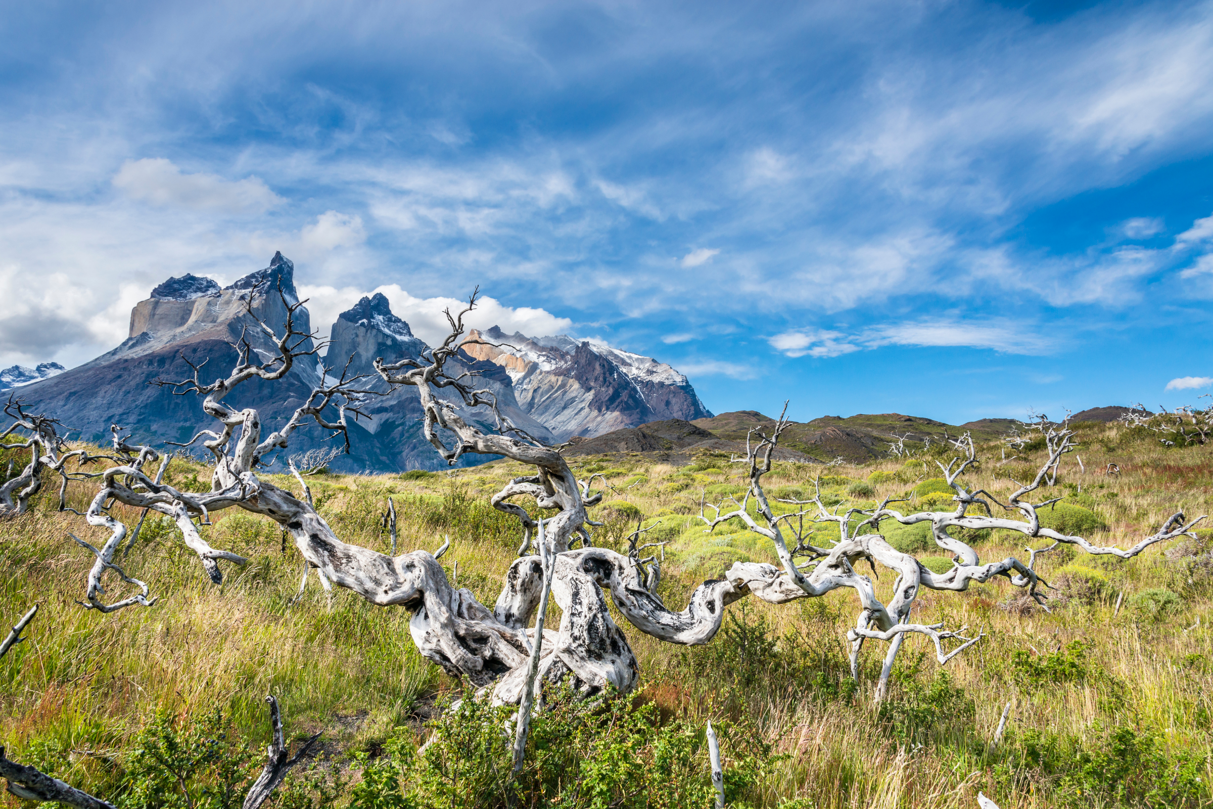 cuernos camp (refugio los cuernos) (4).webp